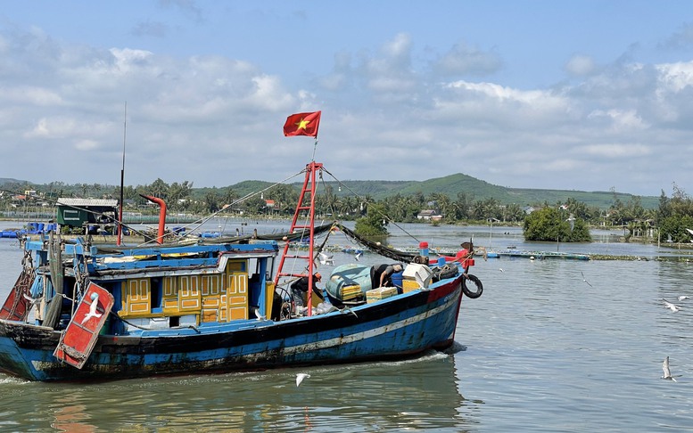 Quảng Ngãi: Kiên quyết, không nhân nhượng trong xử lý  các trường hợp vi phạm IUU