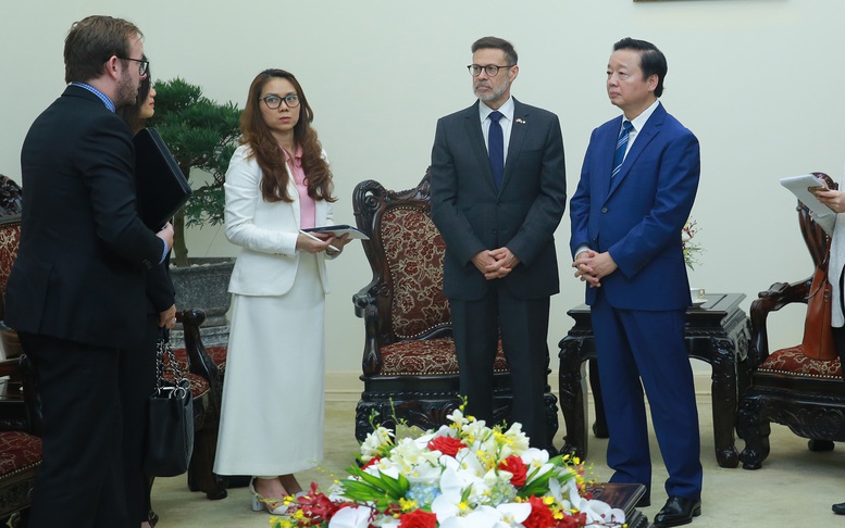 Phó Thủ tướng Trần Hồng Hà tiếp lãnh đạo một số doanh nghiệp năng lượng quốc tế- Ảnh 2.