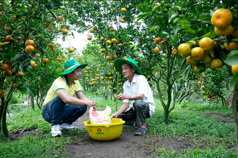 Phân bón Cà Mau: Hành trình 13 năm nỗ lực và phát triển- Ảnh 1.