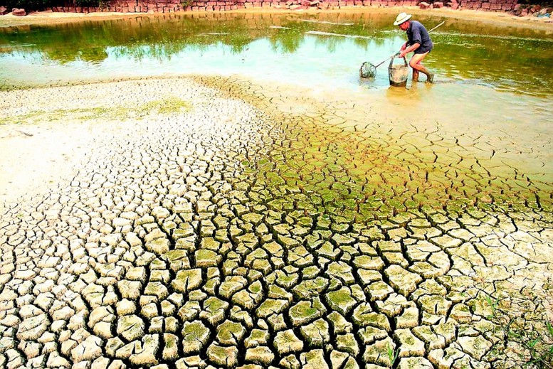 Thủ tướng chỉ đạo tập trung ứng phó đợt xâm nhập mặn cao điểm tại Đồng bằng sông Cửu Long- Ảnh 1.