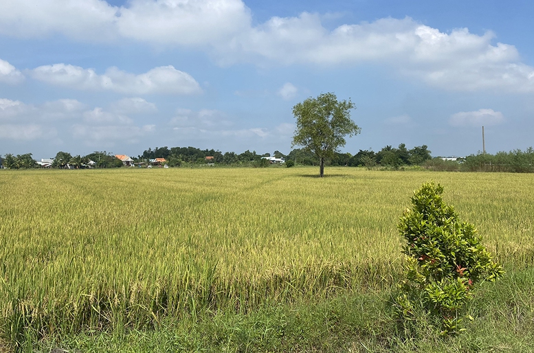 Tắc chủ trương đầu tư, hai dự án truyền tải điện quan trọng nguy cơ chậm tiến độ- Ảnh 2.