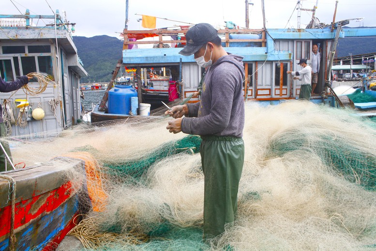 Bình Định: Tuyên truyền chống khai thác IUU theo phương châm 'mưa dầm thấm lâu'- Ảnh 1.