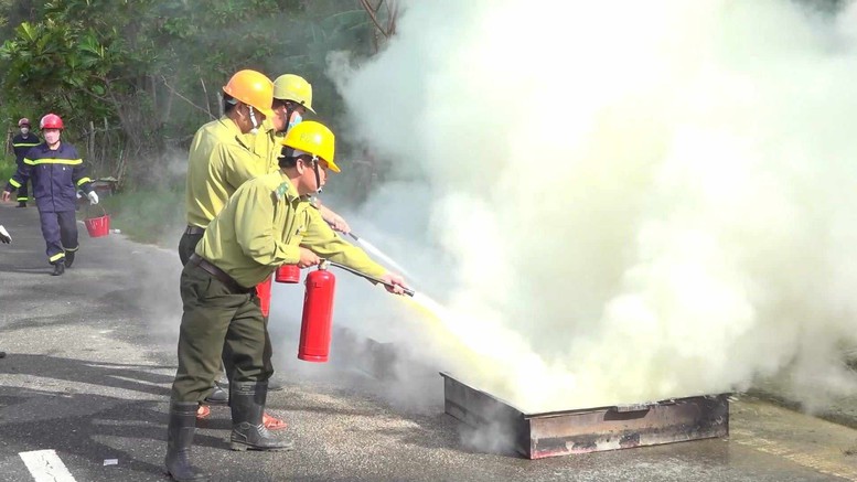 Miền Trung chủ động ứng phó nguy cơ cháy rừng cấp độ cao- Ảnh 1.