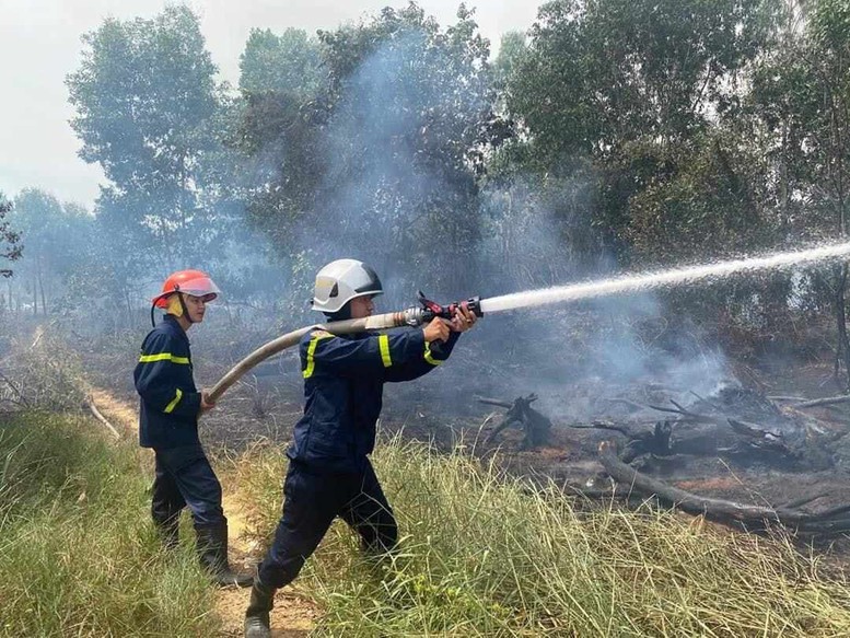 Miền Trung chủ động ứng phó nguy cơ cháy rừng cấp độ cao- Ảnh 6.