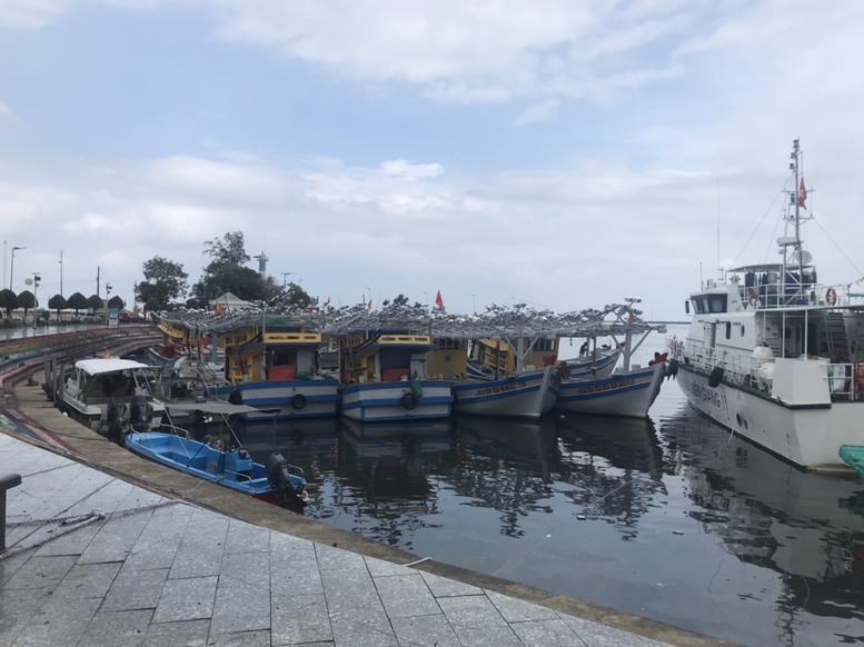 Kiên Giang: Nhiều chuyển biến tích cực trong chống khai thác IUU- Ảnh 1.