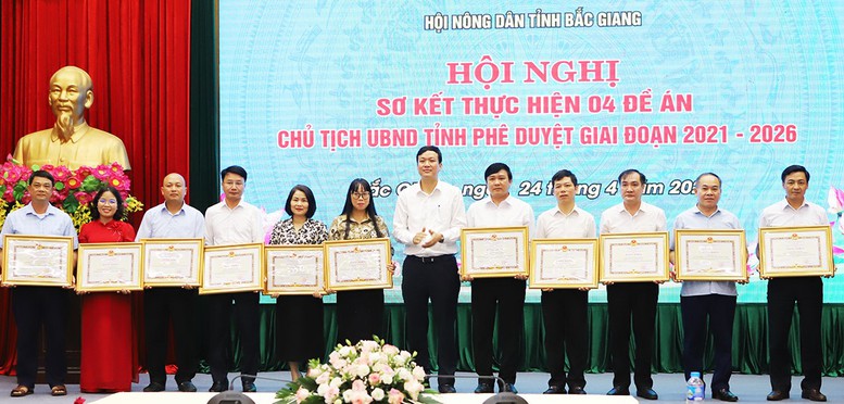 Thiết thực, hiệu quả từ đề án phát triển nông nghiệp tại Bắc Giang- Ảnh 2.