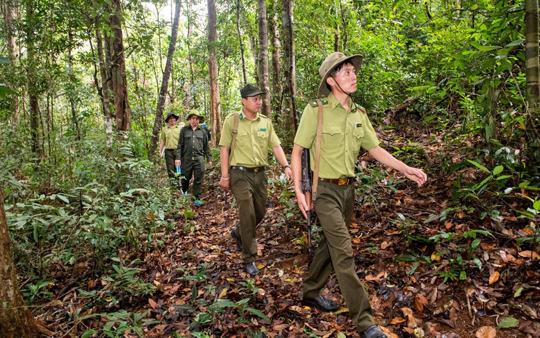 Đề xuất sửa đổi quy định về Kiểm lâm và Lực lượng chuyên trách bảo vệ rừng