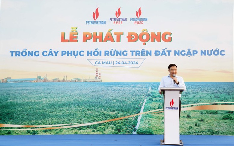 Petrovietnam phát động trồng cây phục hồi rừng trên đất ngập nước