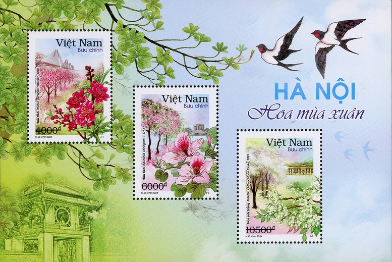 Giới thiệu bộ tem “Hà Nội 12 mùa hoa”- Ảnh 1.