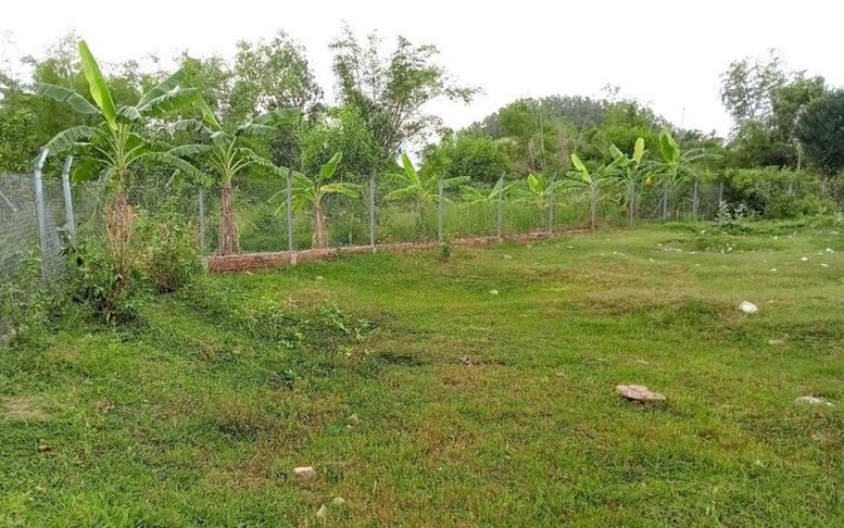 Thẩm quyền quyết định việc chuyển mục đích sử dụng đất