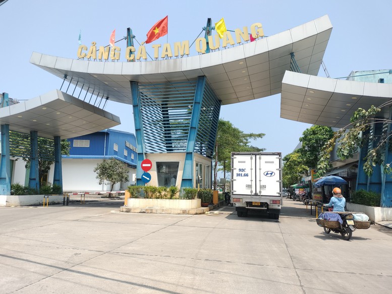 Quảng Nam tăng cường tuần tra trên biển, xử lý nghiêm tàu cá vi phạm IUU- Ảnh 2.