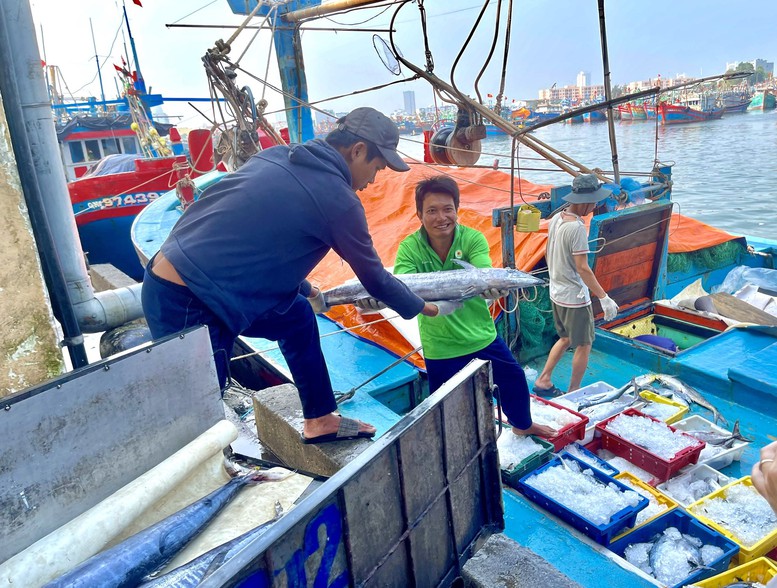 Ngư dân Đà Nẵng chung tay gỡ 'thẻ vàng' khai thác IUU- Ảnh 1.