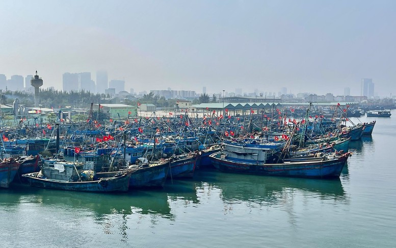 Ngư dân Đà Nẵng chung tay gỡ 'thẻ vàng' khai thác IUU