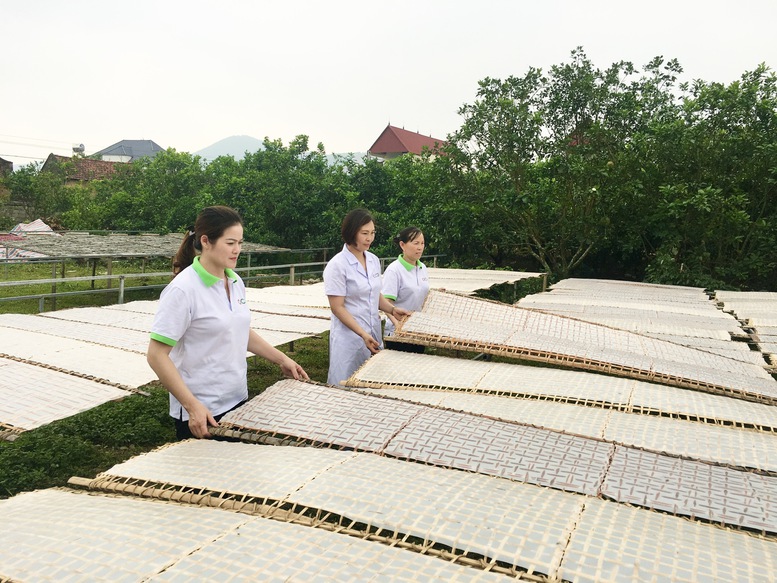 Bảo hộ quyền sở hữu trí tuệ cho các sản phẩm OCOP- Ảnh 1.