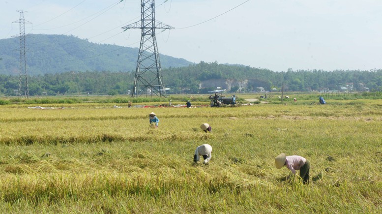 Miền Trung: 