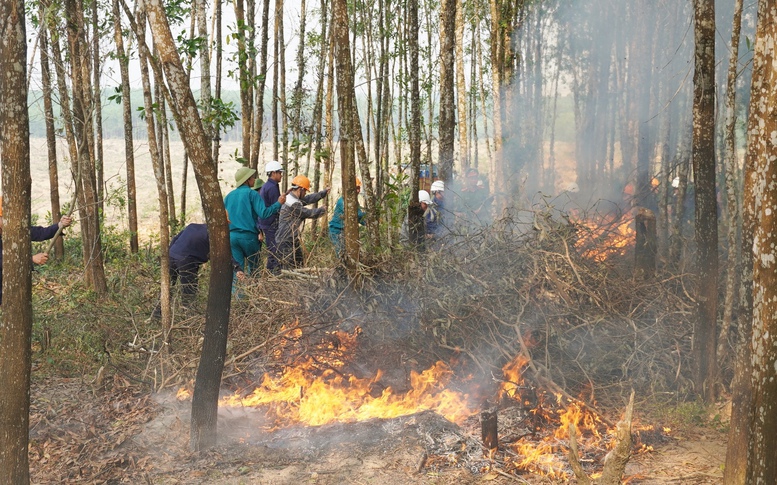 Quảng Bình tăng cường biện pháp cấp bách phòng cháy, chữa cháy rừng