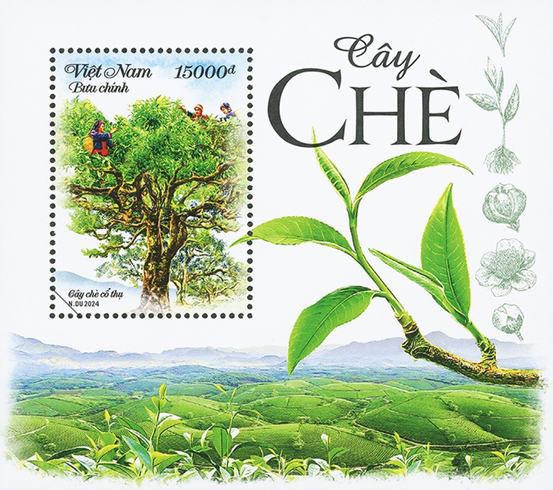 Phát hành bộ tem 'Cây chè'- Ảnh 1.