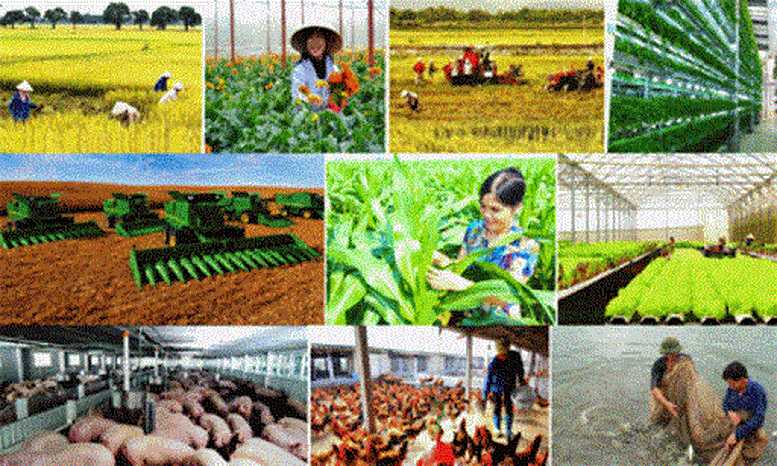 Đề xuất Bộ chỉ tiêu giám sát đánh giá về nông nghiệp nông dân và nông thôn- Ảnh 1.