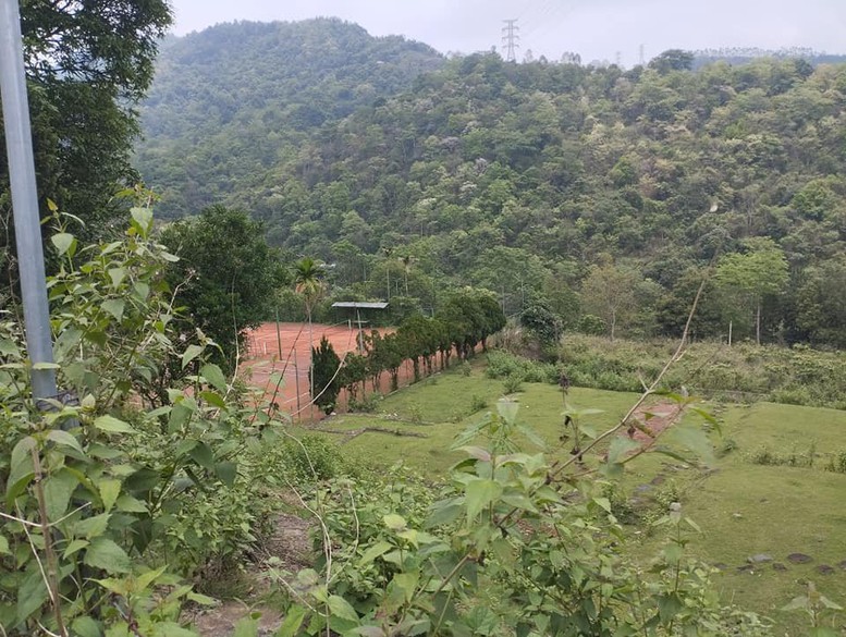 Bắc Giang: Bảo đảm công tác giao rừng phù hợp với tình hình thực tế- Ảnh 2.