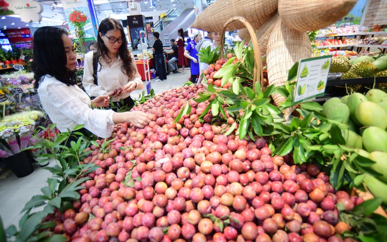 Saigon Co.op khai mạc lễ hội mận hậu và nông sản tỉnh Sơn La