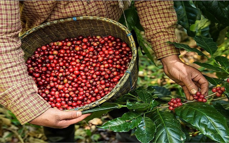 Xuất khẩu tiếp đà tăng trưởng cao