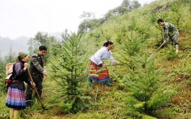 Hỗ trợ kinh phí phát triển sinh kế, cải thiện đời sống người dân vùng đệm các khu rừng đặc dụng