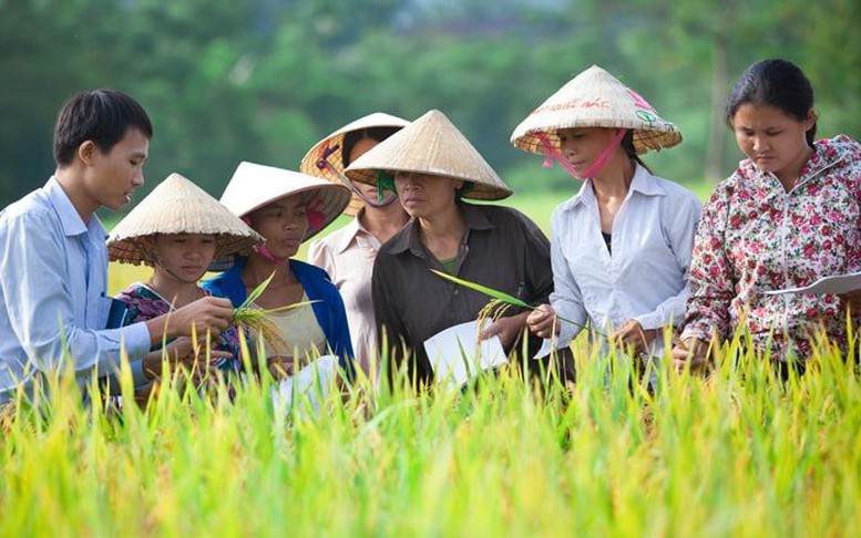 Công bố Báo cáo về Chương trình 'Khung Quản lý thuốc BVTV bền vững'