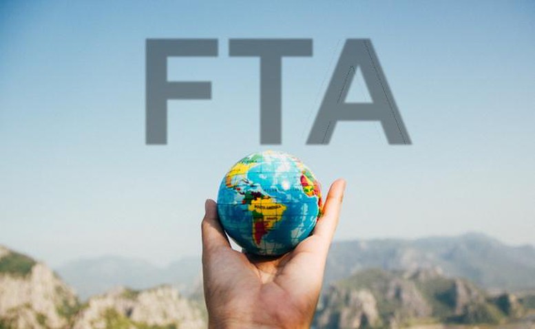 Bài 2: Nhận diện các lực cản nội tại và những cơ hội từ FTA bị 'đánh rơi'- Ảnh 1.