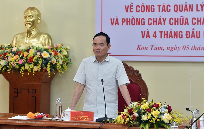Đề cao trách nhiệm của người đứng đầu trong quản lý, bảo vệ, phòng chống cháy rừng- Ảnh 1.