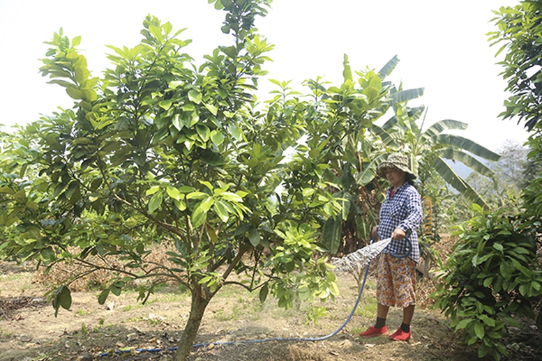 Hành trình gieo ấm no nơi mảnh đất chiến trường xưa- Ảnh 2.