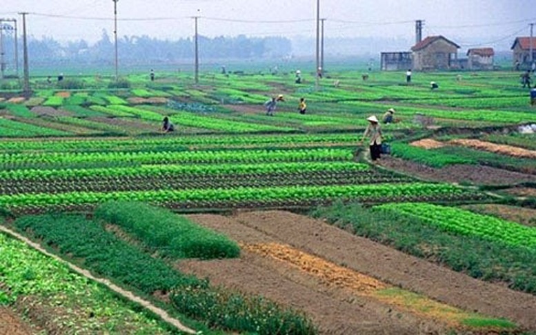 Đề xuất chính sách giải quyết việc làm, đào tạo nghề cho người có đất thu hồi