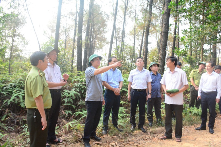 Thừa Thiên Huế: Kiểm soát chặt chẽ người ra vào khu vực rừng có nguy cơ cháy rừng cao- Ảnh 1.
