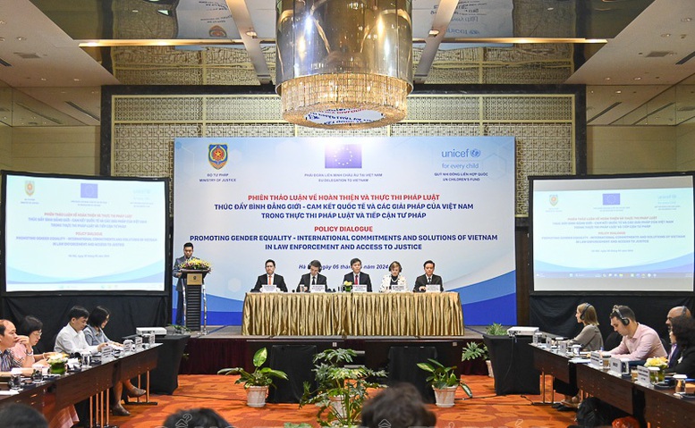 Thực thi cam kết của Việt Nam về bình đẳng giới trong xây dựng và thi hành pháp luật - Ảnh 1.