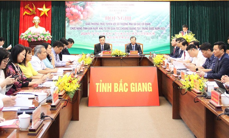 Bắc Giang thúc đẩy tiêu thụ vải thiều năm 2024- Ảnh 1.