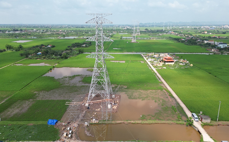 Cơ bản hoàn thành dựng cột dự án đường dây 500kV mạch 3 cung đoạn NMNĐ Nam Định I – Thanh Hóa- Ảnh 1.