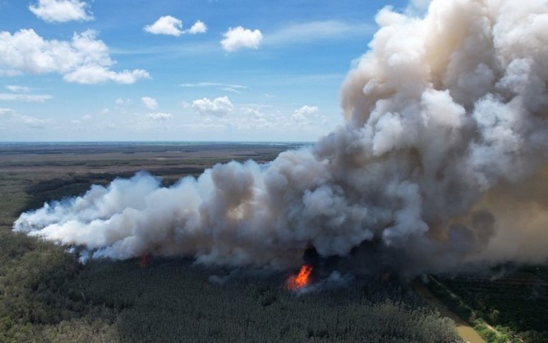 Đã khoanh vùng được cháy rừng ở Vườn quốc gia Tràm Chim
