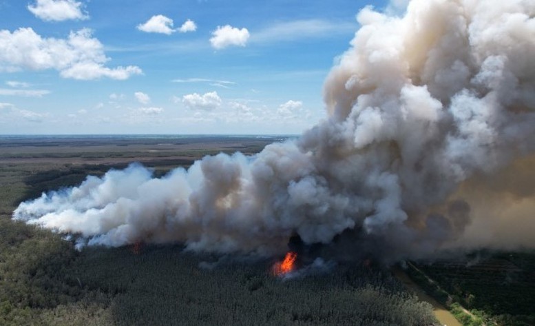 Đã khoanh vùng được cháy rừng ở Vườn quốc gia Tràm Chim- Ảnh 1.