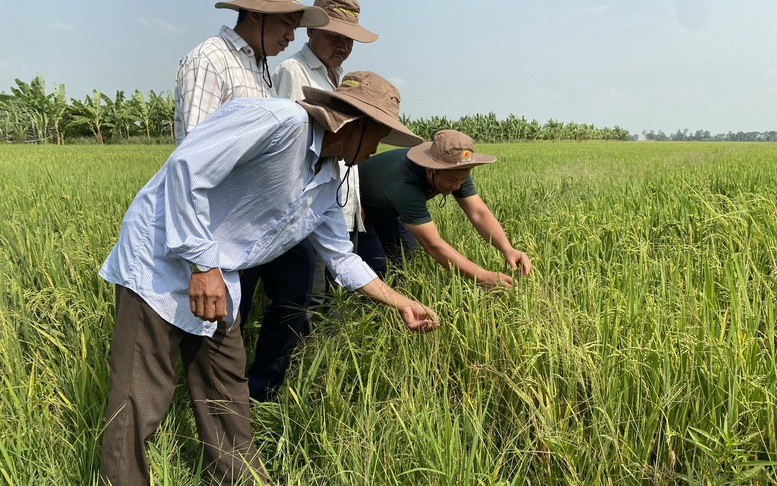 Nông sản Việt với sức bật của tư duy đa giá trị, đa ngành