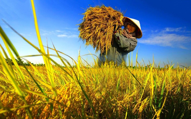 Mang sự tử tế ra đồng ruộng