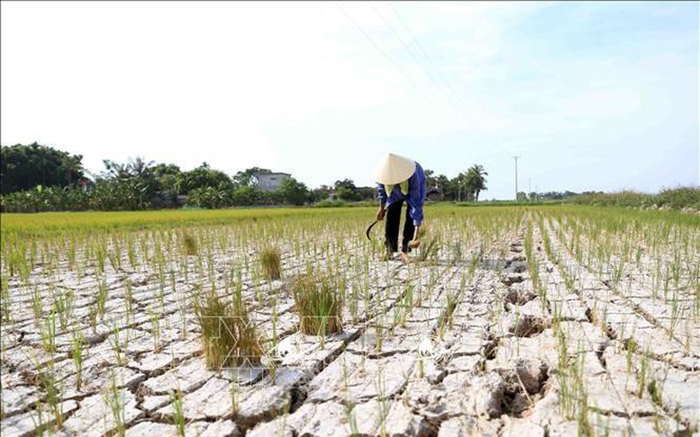 Chung tay chống sa mạc hóa và hạn hán