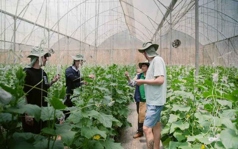 Khám phá nông trường công nghệ cao tại 'thủ phủ' rau củ Lâm Đồng