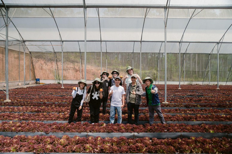 Khám phá nông trường công nghệ cao tại 'thủ phủ' rau củ Lâm Đồng- Ảnh 10.
