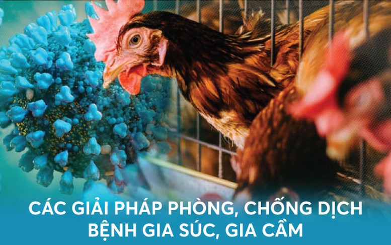 Infographics: Các biện pháp phòng, chống dịch bệnh gia súc, gia cầm