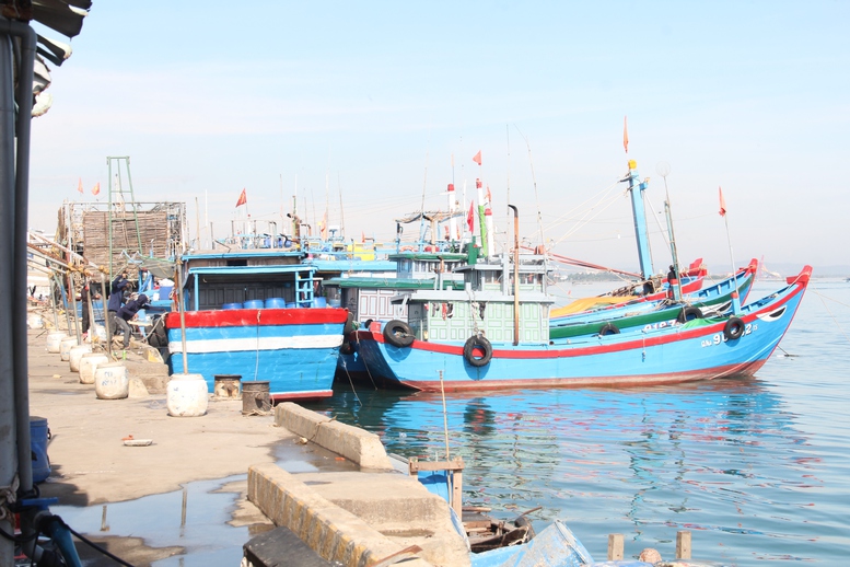 Từ 2023 đến nay, Quảng Nam không có tàu cá vi phạm vùng biển nước ngoài- Ảnh 2.