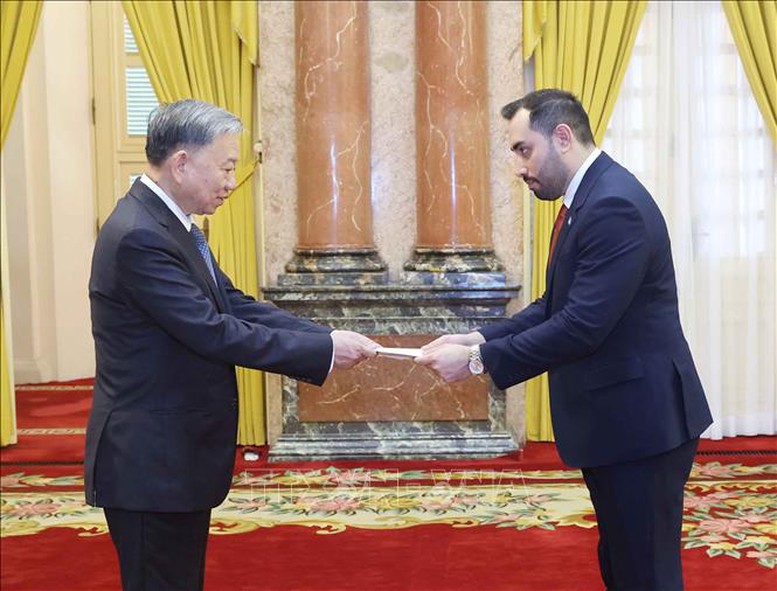Chủ tịch nước Tô Lâm tiếp Đại sứ các nước trình Quốc thư- Ảnh 1.
