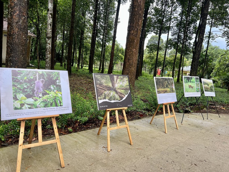Vườn Quốc gia Cát Tiên nhận danh hiệu Danh lục Xanh IUCN: Bước tiến lớn trong công tác bảo tồn thiên nhiên- Ảnh 5.