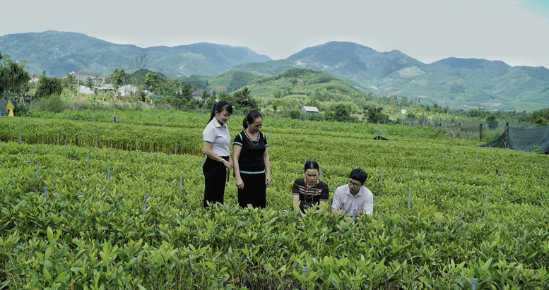 Người dân huyện miền núi Minh Long đổi đời nhờ đồng vốn nhân văn- Ảnh 1.
