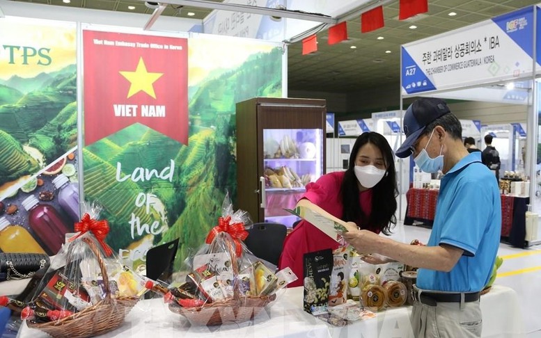 Hợp tác kinh tế Việt Nam - Hàn Quốc: Nâng tầm cả chất và lượng