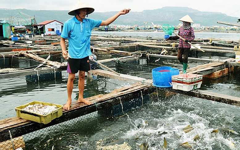 Đề xuất sửa đổi quy định về phòng, chống dịch bệnh động vật thuỷ sản