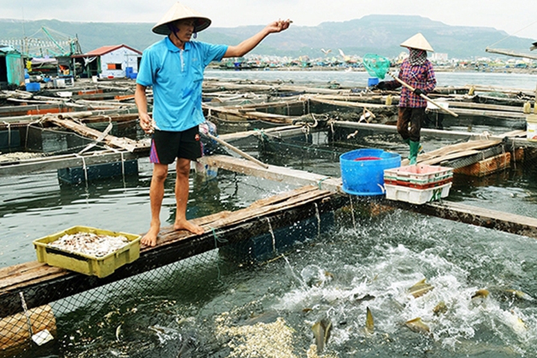 Đề xuất sửa đổi quy định về phòng, chống dịch bệnh động vật thuỷ sản- Ảnh 1.